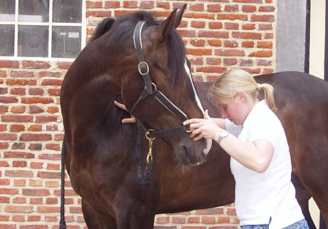 Paard osteopathie